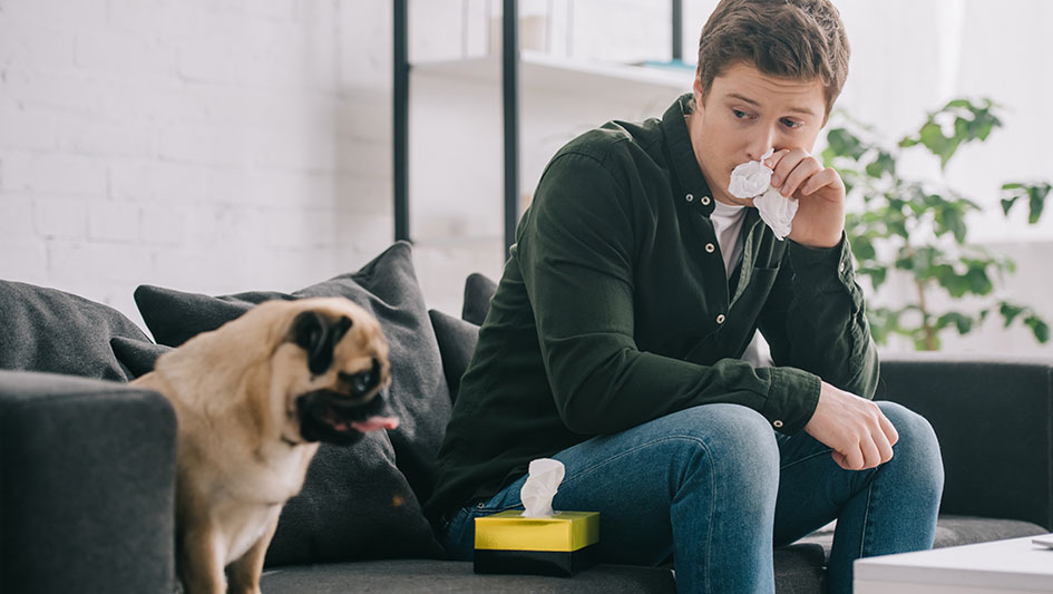 Purchasing an air purifier is one of the best approaches to improve your residence’s indoor air quality. Find out more about the three best solutions. 